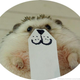 Illustration for article titled Hedgehog Impersonates Pikachu (and More)